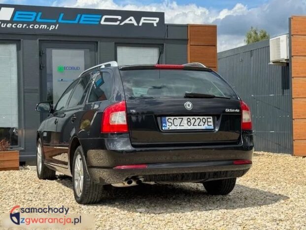 Skoda Octavia full