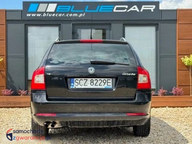 Skoda Octavia full