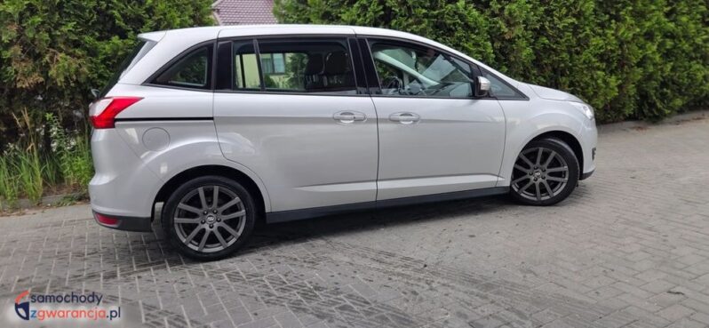 Ford Grand C-MAX 1.0 EcoBoost Start-Stopp-System Ambiente full