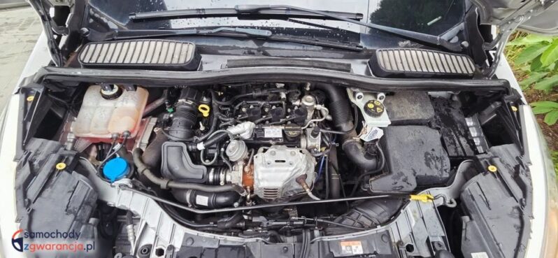 Ford Grand C-MAX 1.0 EcoBoost Start-Stopp-System Ambiente full