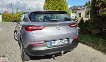 Opel Grandland X 1.2 Start/Stop Automatik Dynamic full