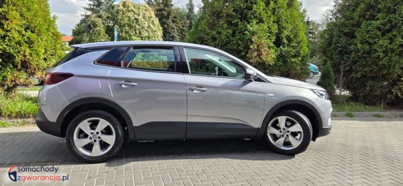 Opel Grandland X 1.2 Start/Stop Automatik Dynamic full