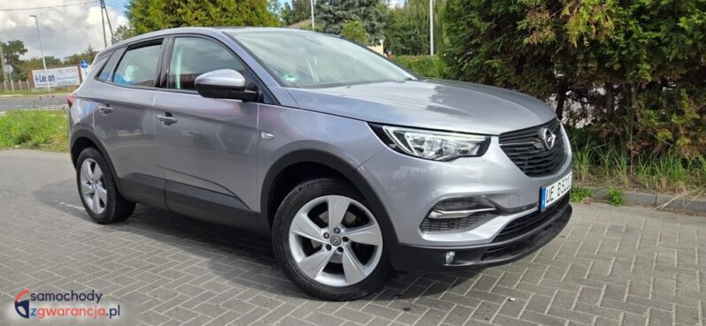 Opel Grandland X 1.2 Start/Stop Automatik Dynamic full