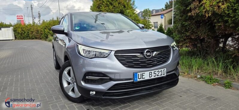 Opel Grandland X 1.2 Start/Stop Automatik Dynamic full