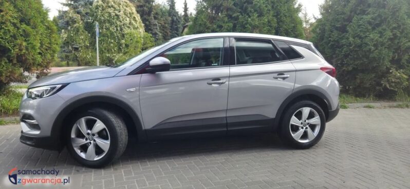 Opel Grandland X 1.2 Start/Stop Automatik Dynamic full