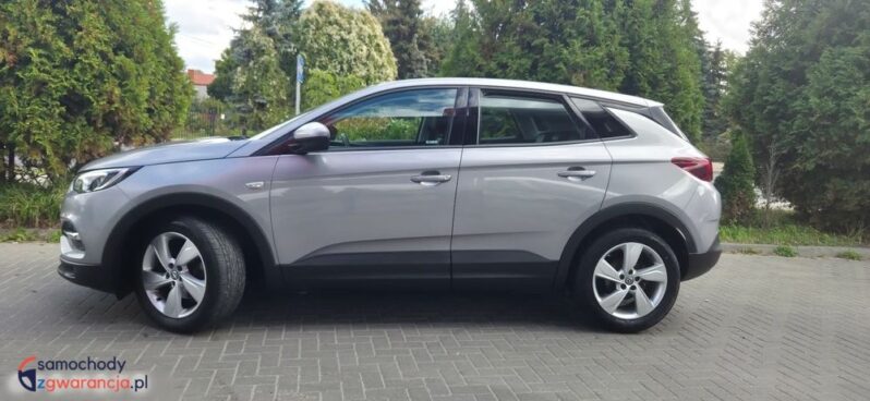 Opel Grandland X 1.2 Start/Stop Automatik Dynamic full