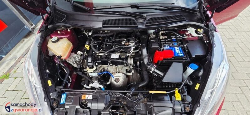 Ford Fiesta 1.0 Platinium X full