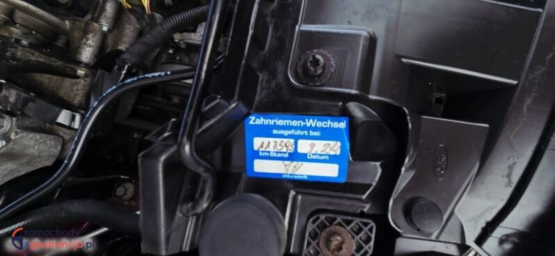 Ford Fiesta 1.0 Platinium X full