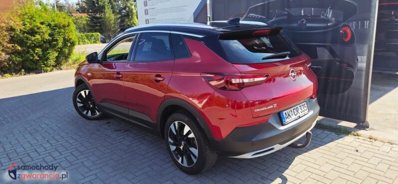 Opel Grandland X 2.0 D Start/Stop Automatik Business Innovation full