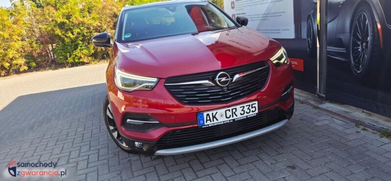 Opel Grandland X 2.0 D Start/Stop Automatik Business Innovation full