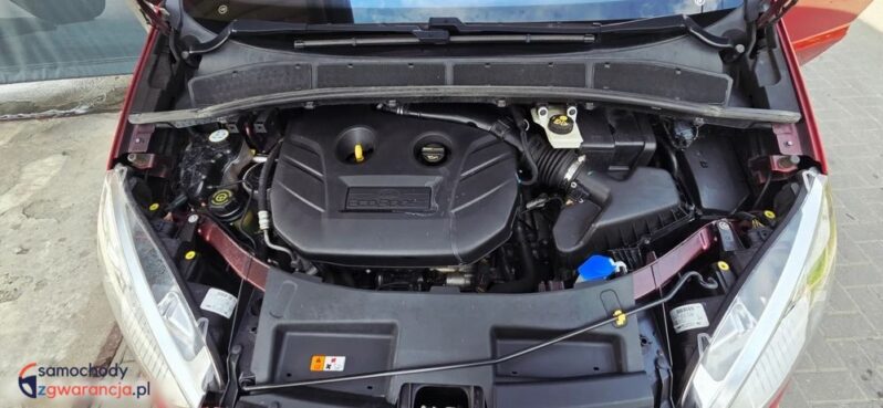 Ford S-Max 2.0 T Titanium MPS6 full