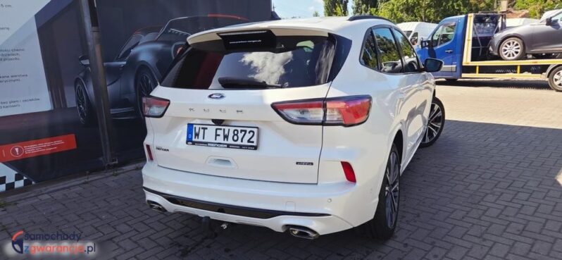 Ford Kuga full