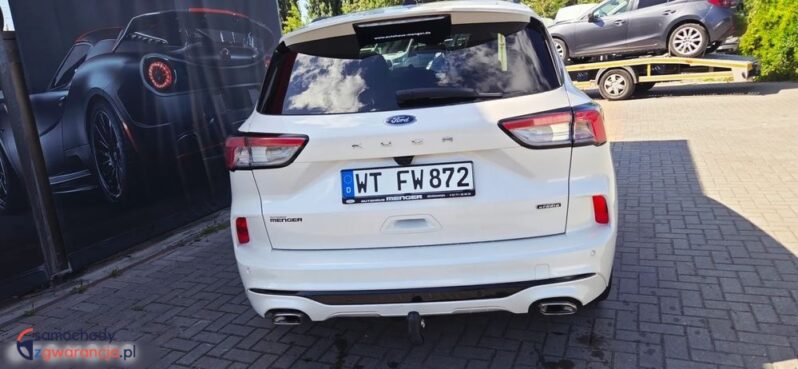 Ford Kuga full