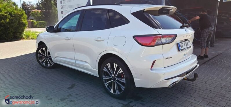 Ford Kuga full