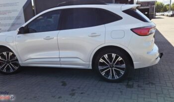 Ford Kuga full