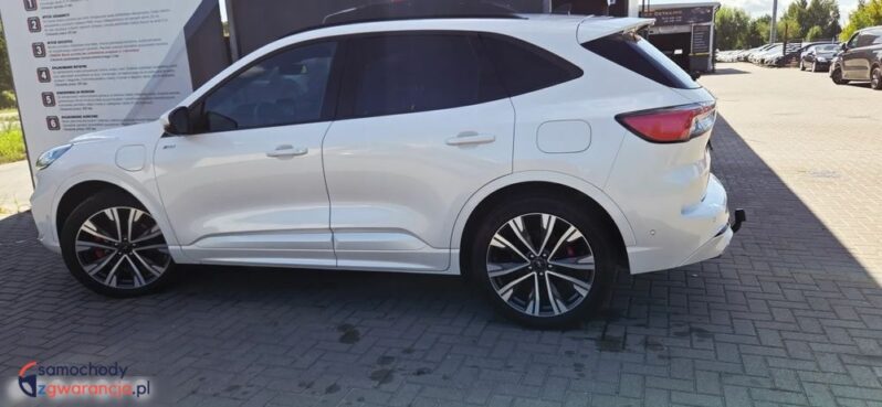 Ford Kuga full