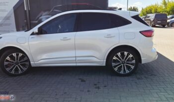 Ford Kuga full