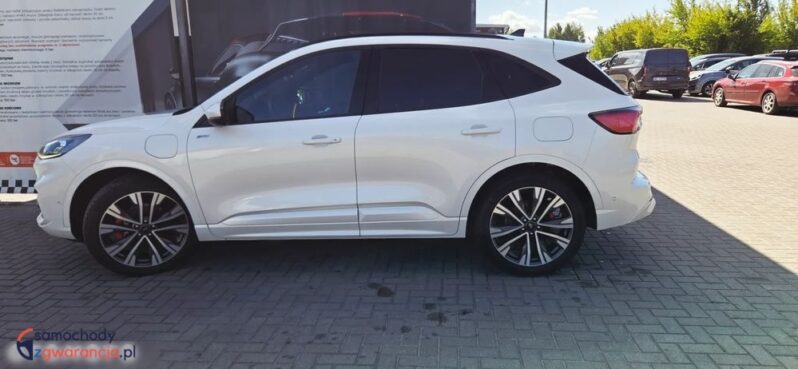 Ford Kuga full