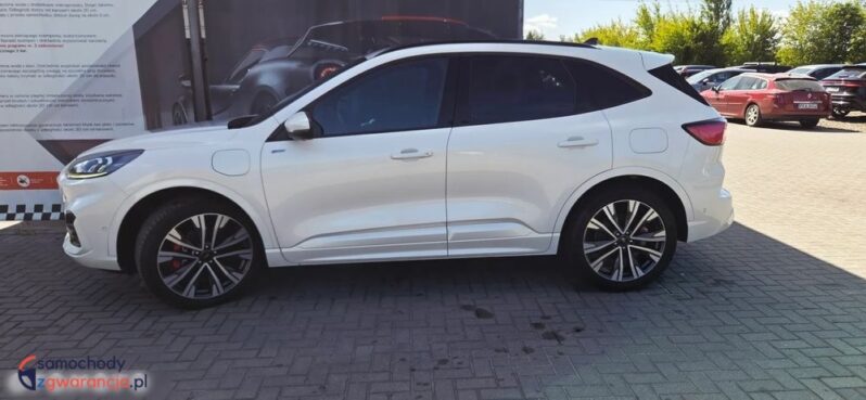 Ford Kuga full