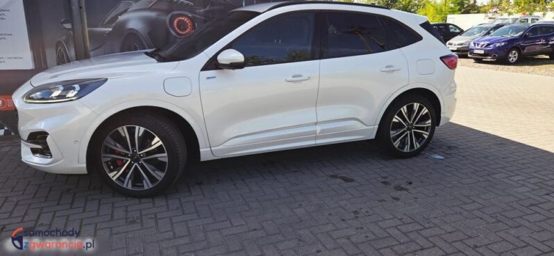Ford Kuga full