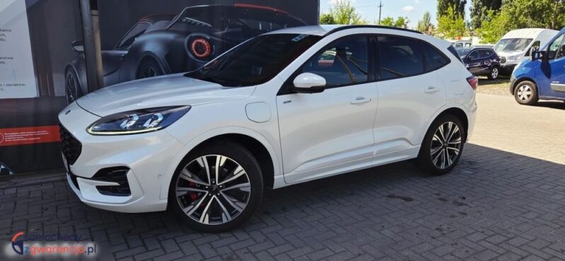 Ford Kuga full