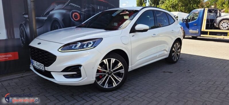 Ford Kuga full