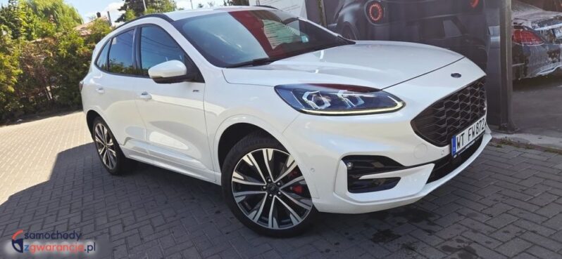 Ford Kuga full