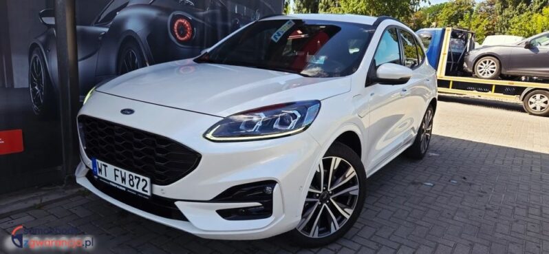 Ford Kuga full