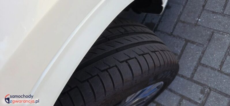 Ford Kuga full
