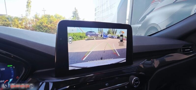 Ford Kuga full