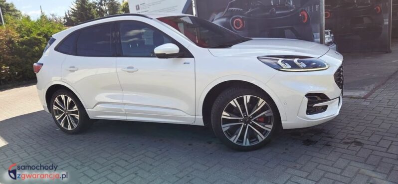 Ford Kuga full