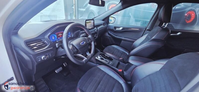 Ford Kuga full