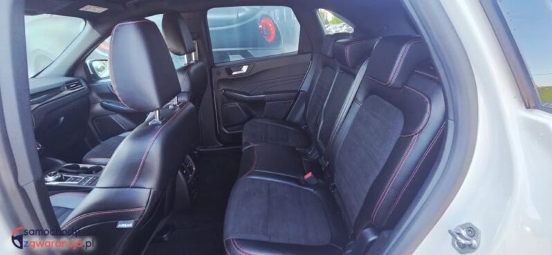 Ford Kuga full
