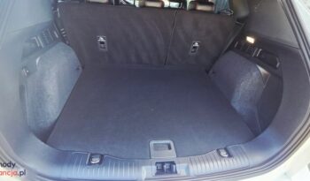 Ford Kuga full