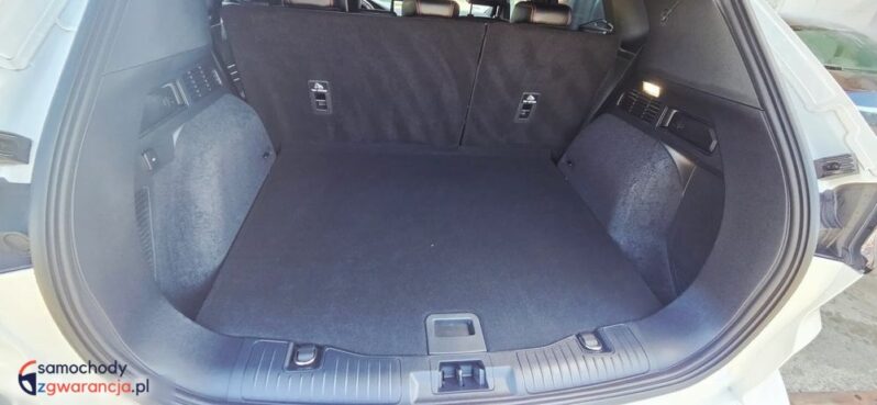 Ford Kuga full