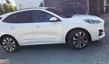 Ford Kuga full