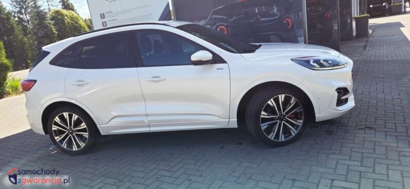 Ford Kuga full