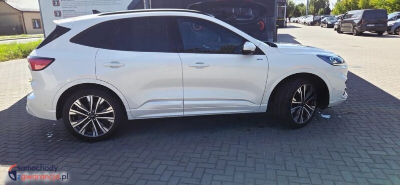 Ford Kuga full