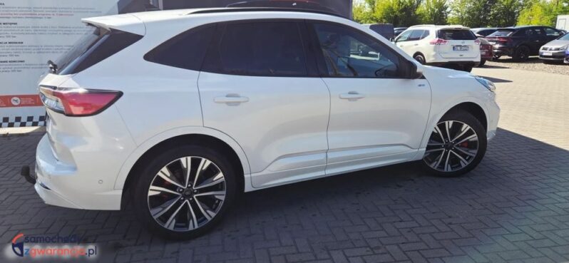 Ford Kuga full