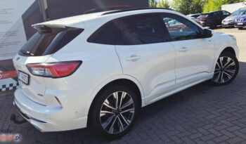 Ford Kuga full