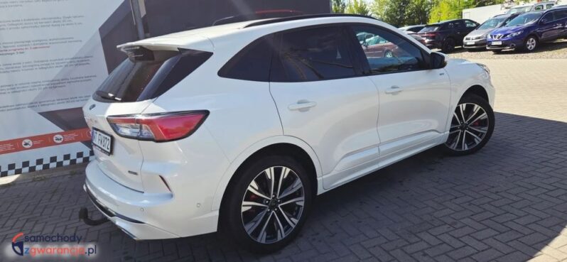 Ford Kuga full
