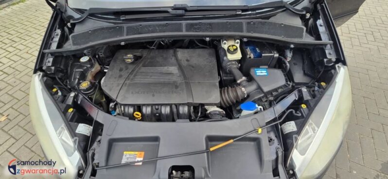 Ford S-Max 2.0 FF Platinium X full