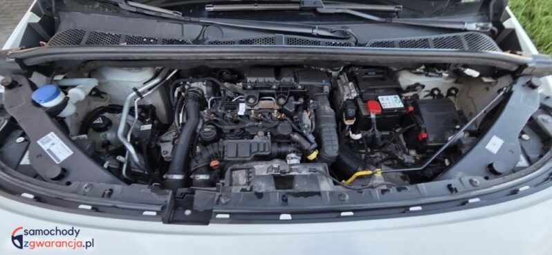 Opel Combo full