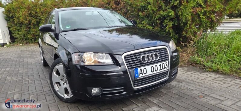 Audi A3 Sportback 2.0 TDI DPF Quattro Attraction full
