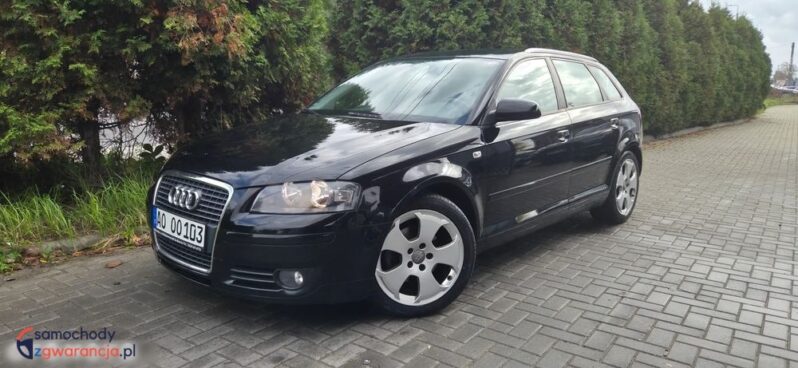 Audi A3 Sportback 2.0 TDI DPF Quattro Attraction full