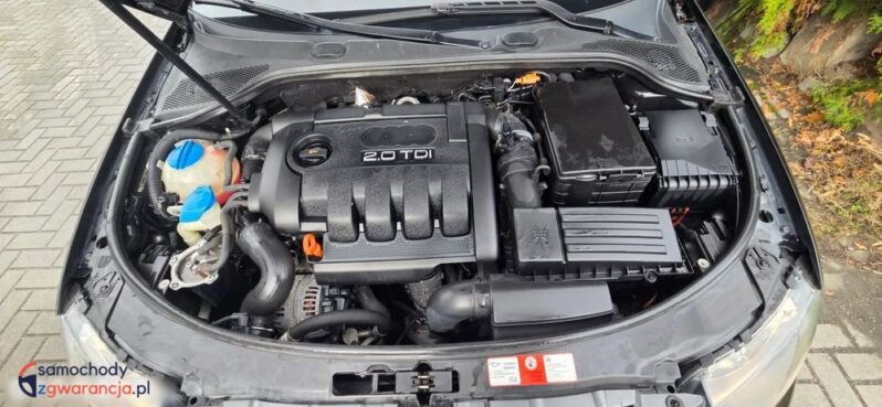 Audi A3 Sportback 2.0 TDI DPF Quattro Attraction full