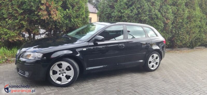Audi A3 Sportback 2.0 TDI DPF Quattro Attraction full