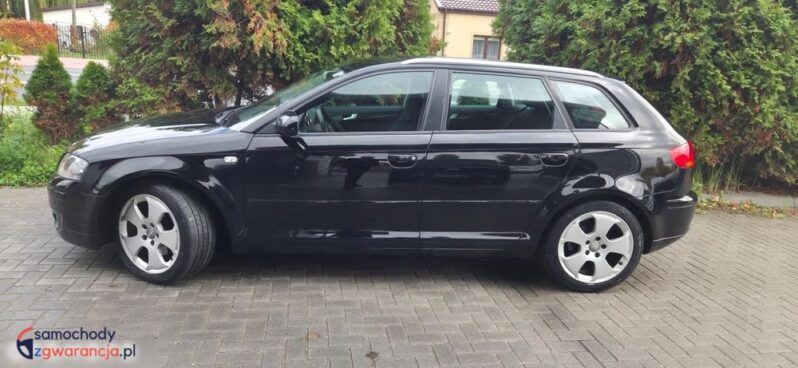 Audi A3 Sportback 2.0 TDI DPF Quattro Attraction full