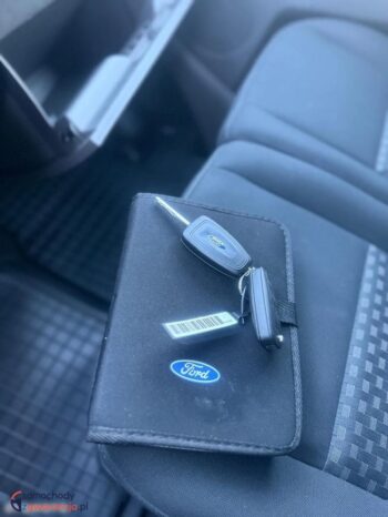 Ford Transit Custom 310 L2H1 Ambiente full