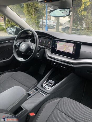 Skoda Octavia full
